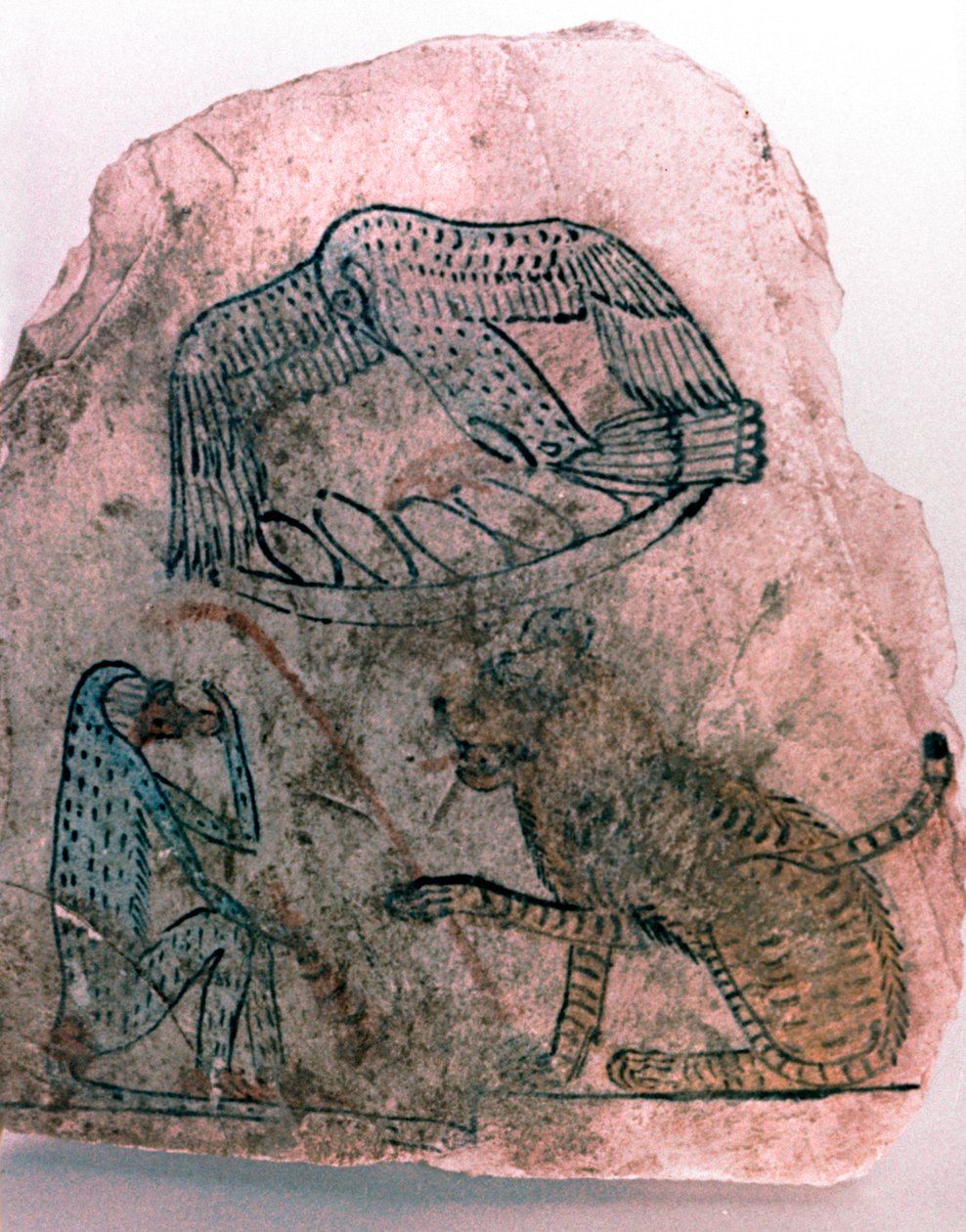 Ostracon-fragmentti, gepardi, lintu ja apina, Egypti tekijältä Unbekannt