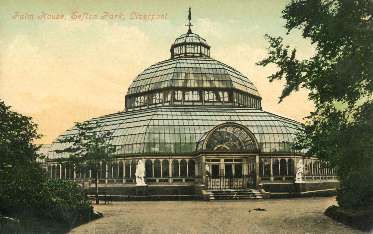 Palm House, Sefton Park, Liverpool, 1946. tekijältä Unbekannt