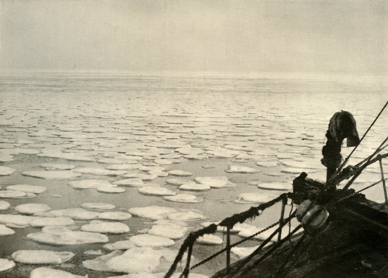 Pannukakkujää Ross-merellä, c1908, 1909. tekijältä Unbekannt