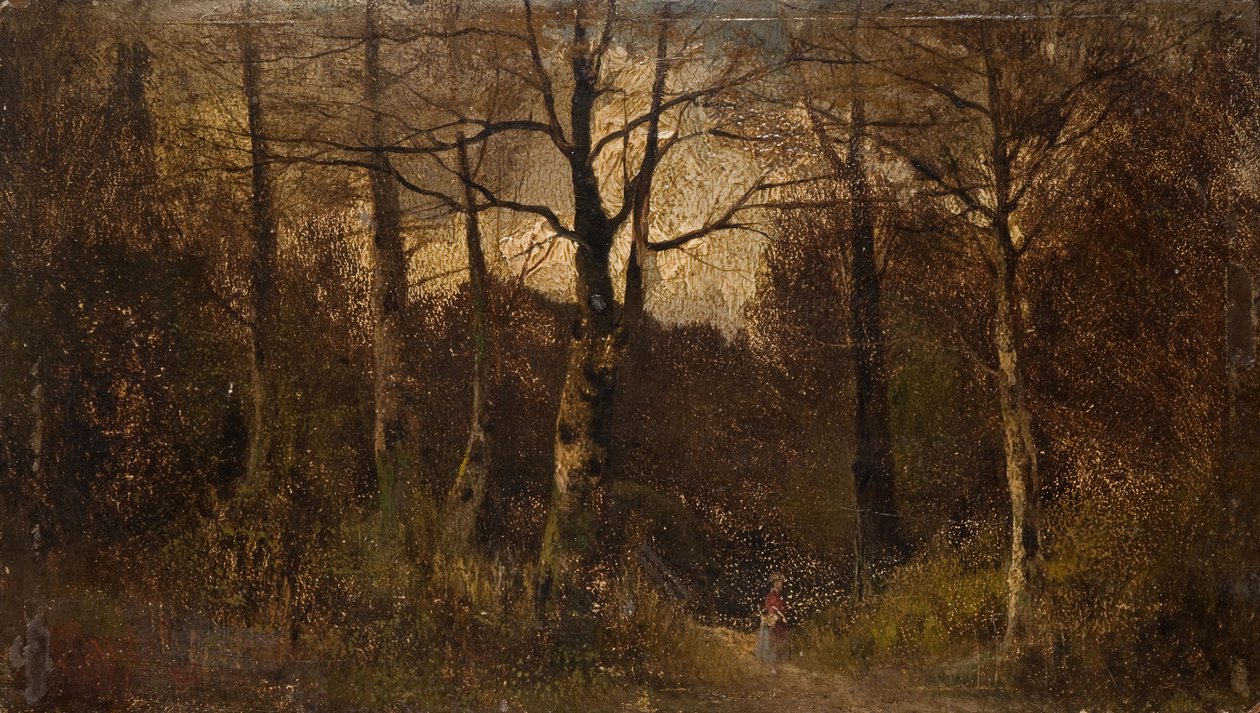 Polku metsän läpi, 1900. tekijältä Unbekannt
