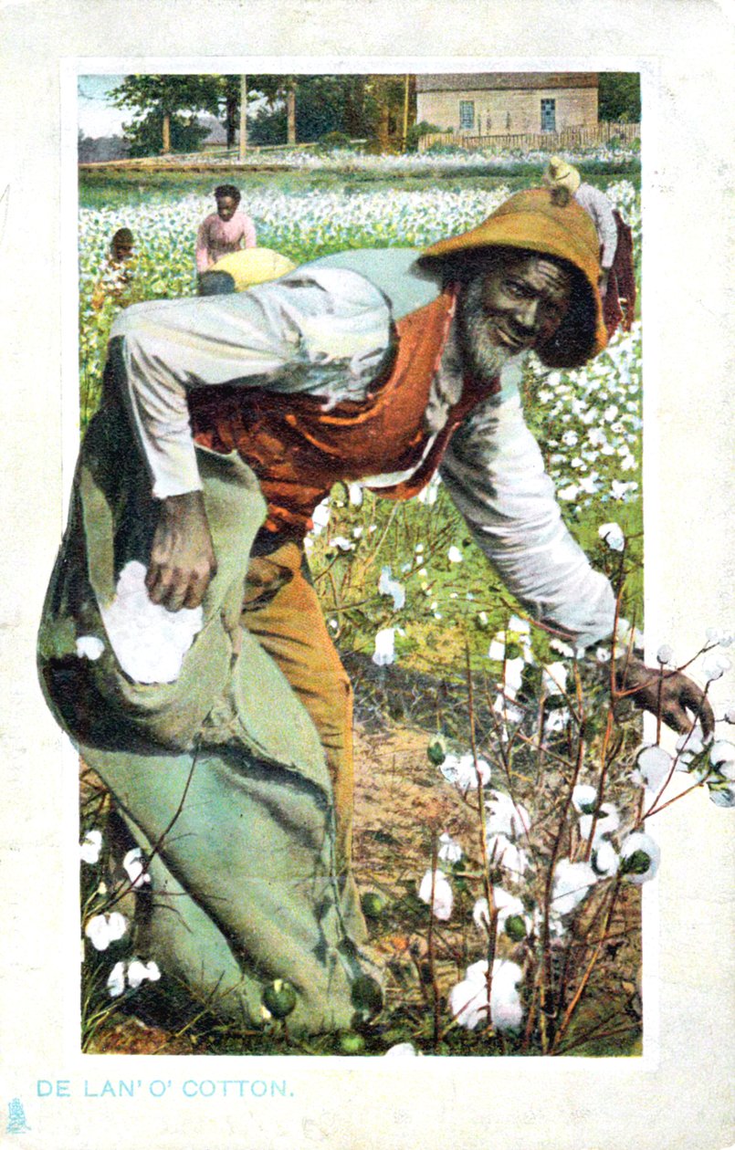 Poimintapuuvillaa, USA, postikortti, c1900 tekijältä Unbekannt