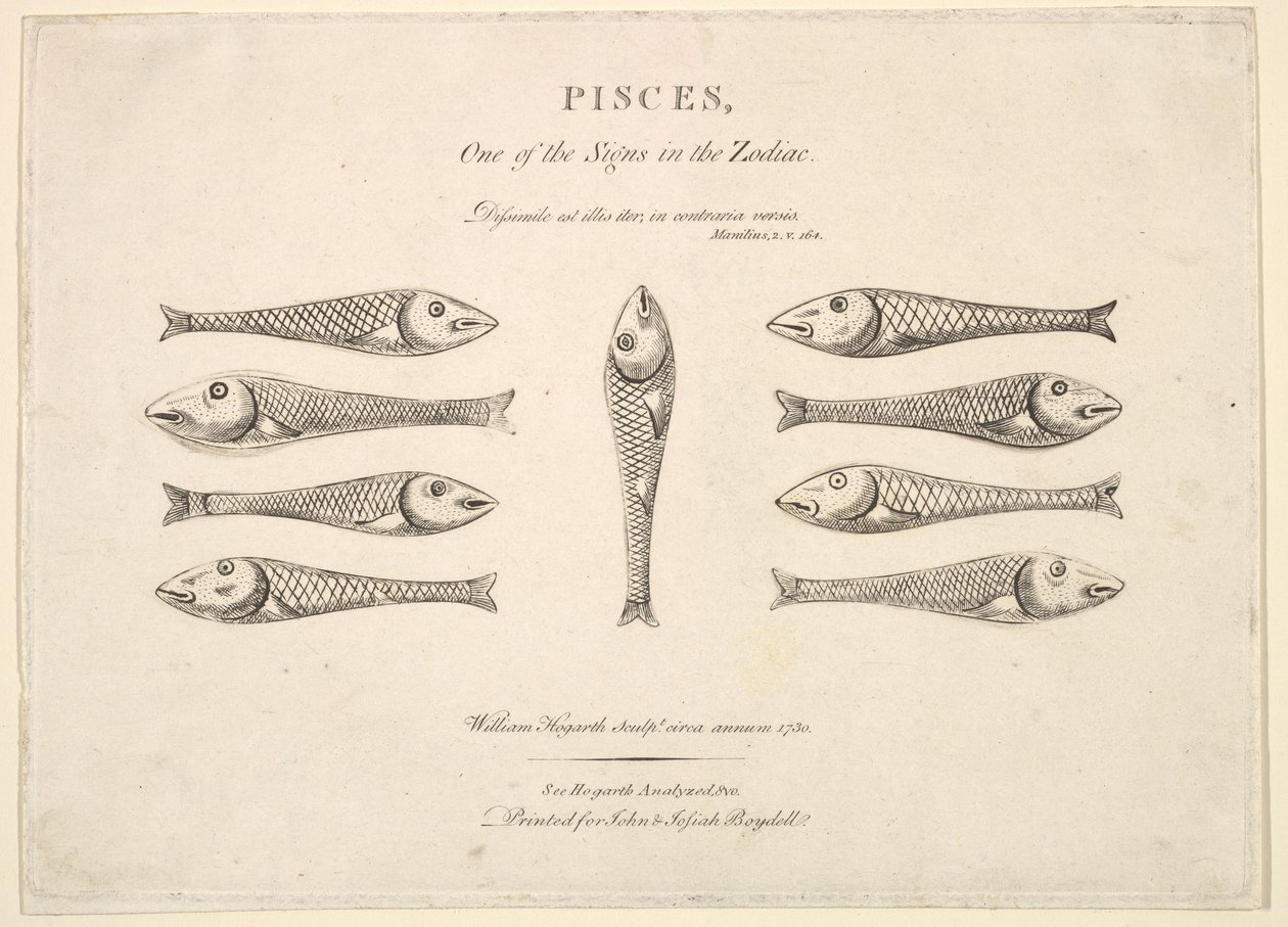 Kalat: Hogarths Quadrille Fish, n. 1730. tekijältä Unbekannt