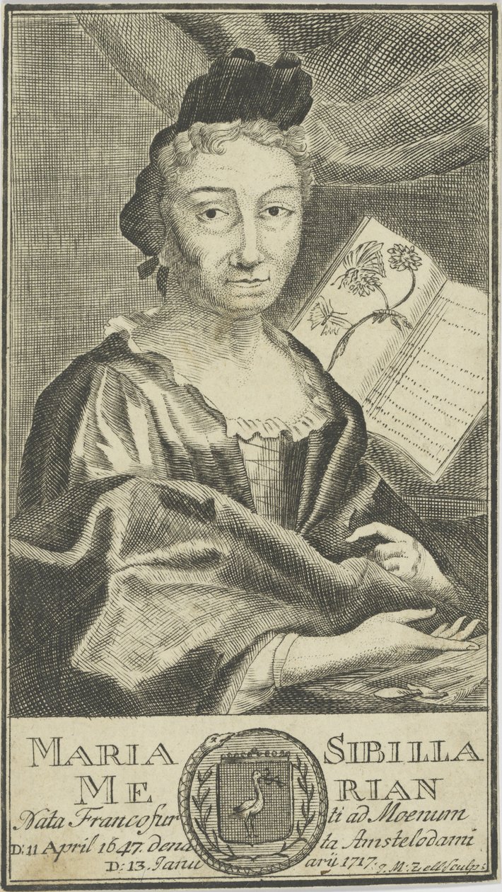 Maria Sibylla Merianin muotokuva 1647-1717, 1755. tekijältä Unbekannt