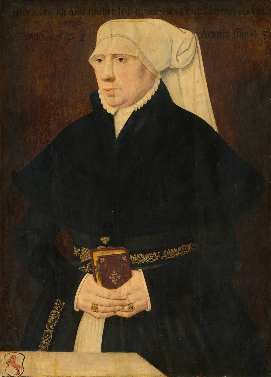 Naisen muotokuva, 1532. tekijältä Unbekannt