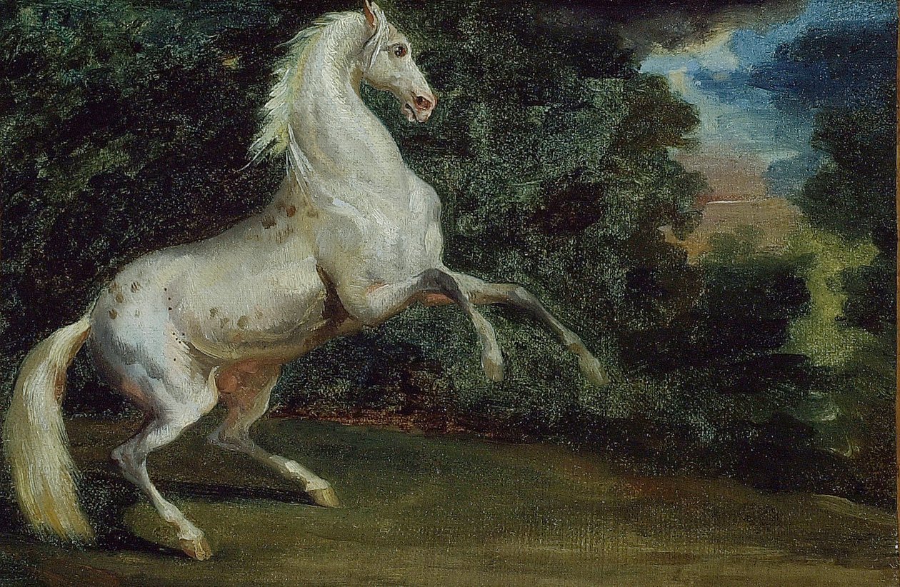 Hyökkäyshevonen, 180812. tekijältä Unbekannt