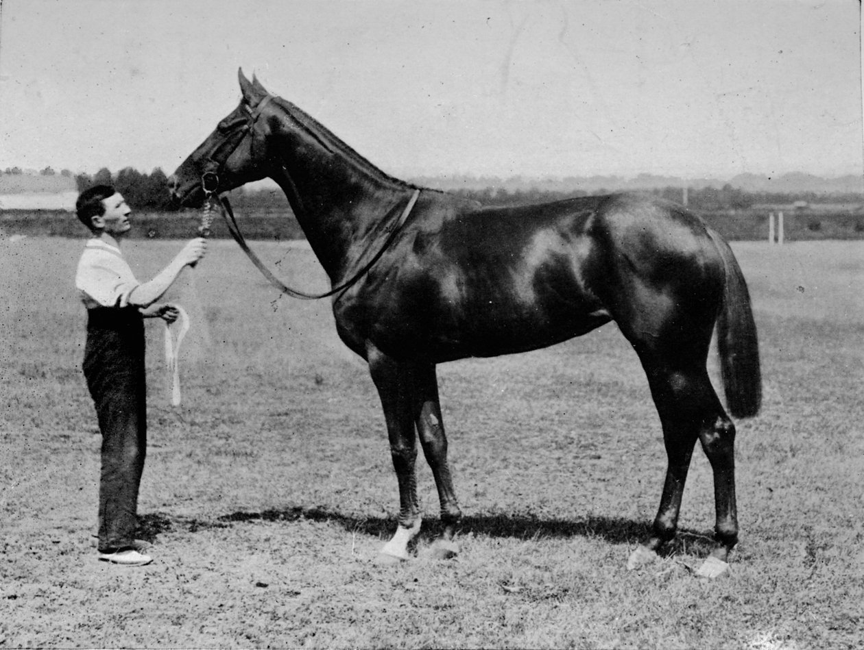 Pretty Polly, 1901-1931, 1911 tekijältä Unbekannt