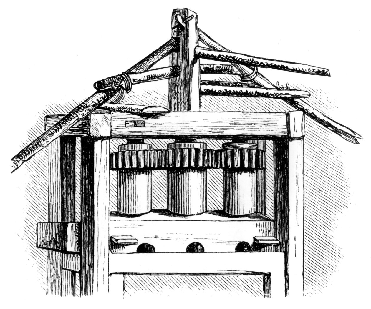 Alkukantainen sokeritehdas, Santo Domingo, 1873 tekijältä Unbekannt