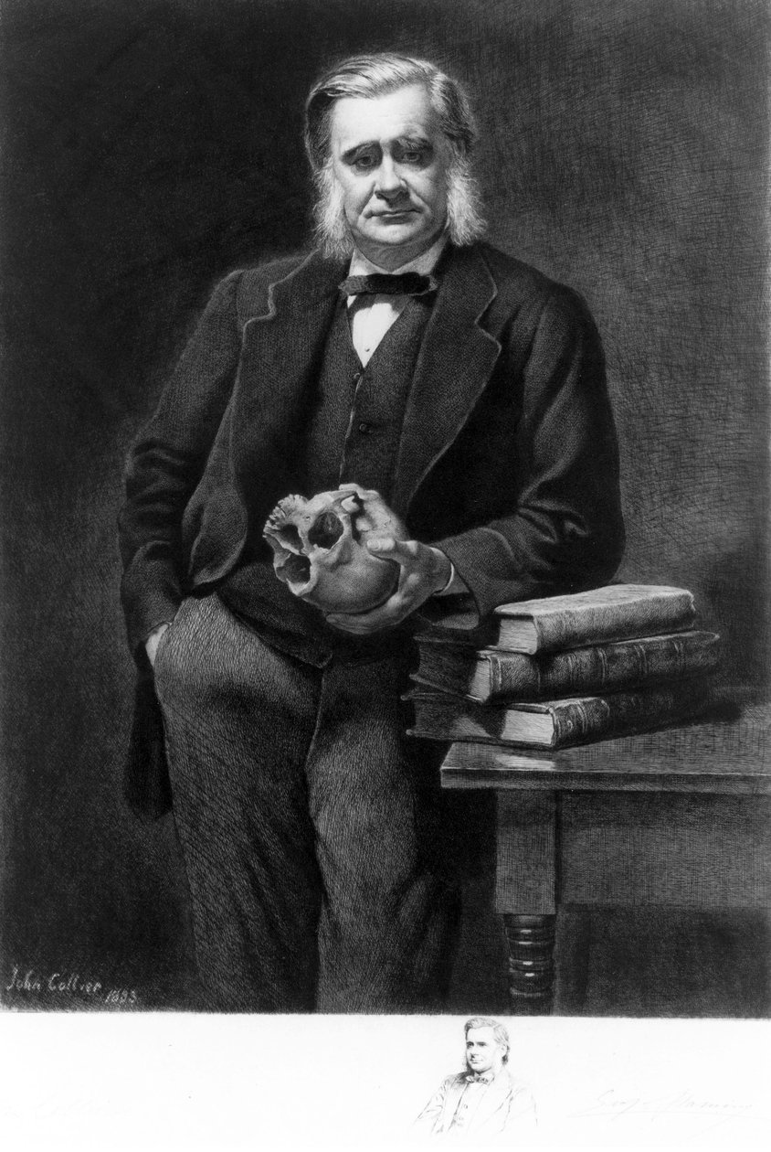 Professori Thomas Henry Huxley, englantilainen biologi tekijältä Unbekannt