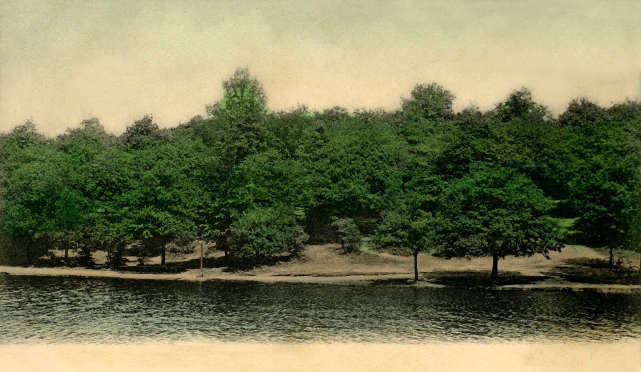 Queensmere, Wimbledon Common, Lontoo, 1903. tekijältä Unbekannt
