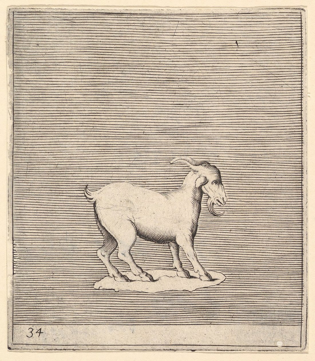 Ram, julkaistu n. 1599-1622. tekijältä Unbekannt