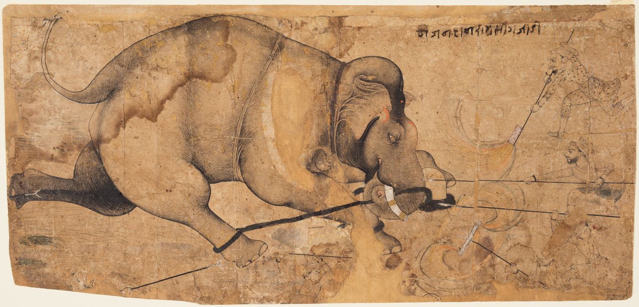Rao Ram Singhs Elephant Gone Amok, c. 1700. tekijältä Unbekannt