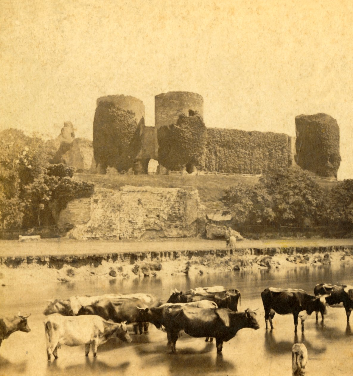 Rhuddlan - Linna joelta, vuosi 1900. tekijältä Unbekannt