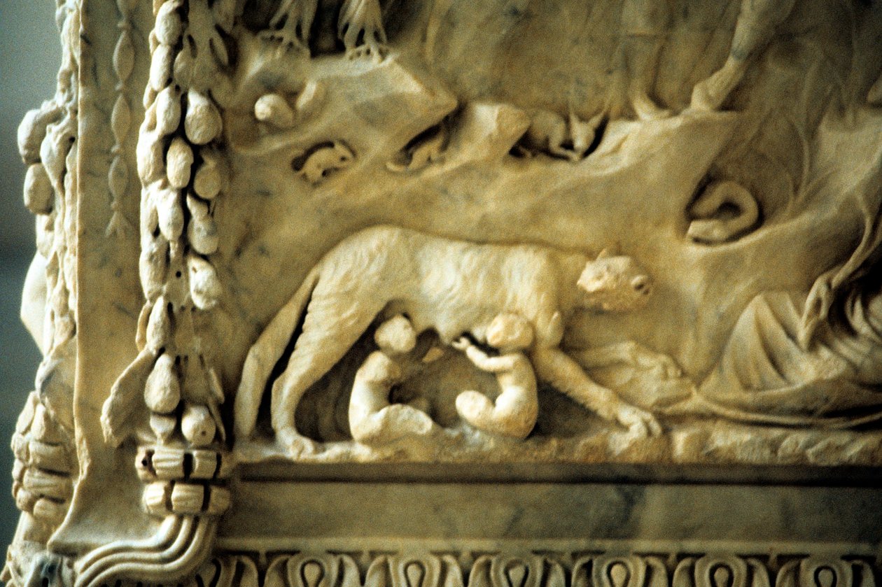 Romulus ja Remus imevät naarassusta tekijältä Unbekannt