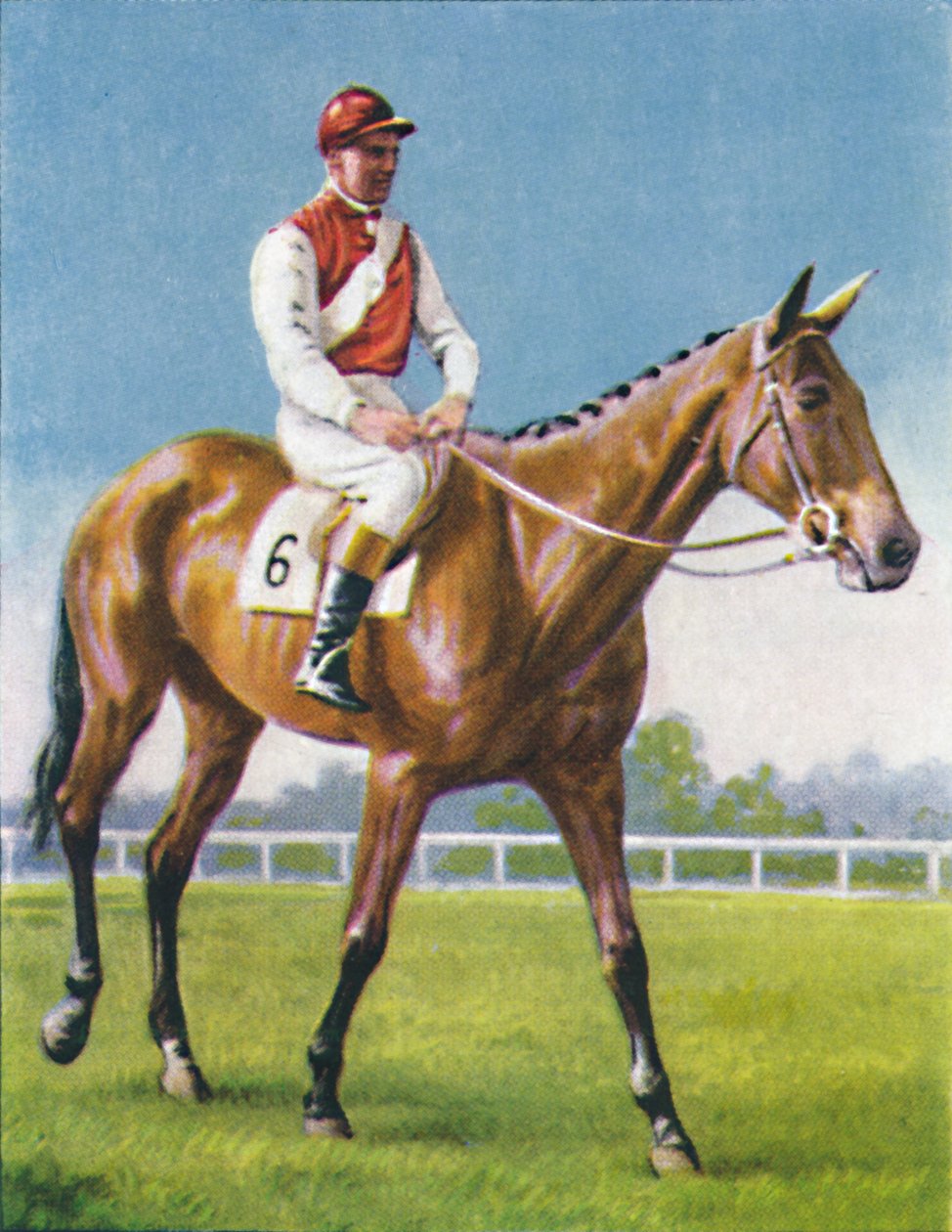 Royal Danieli, Jockey: D. Moore, 1939 tekijältä Unbekannt