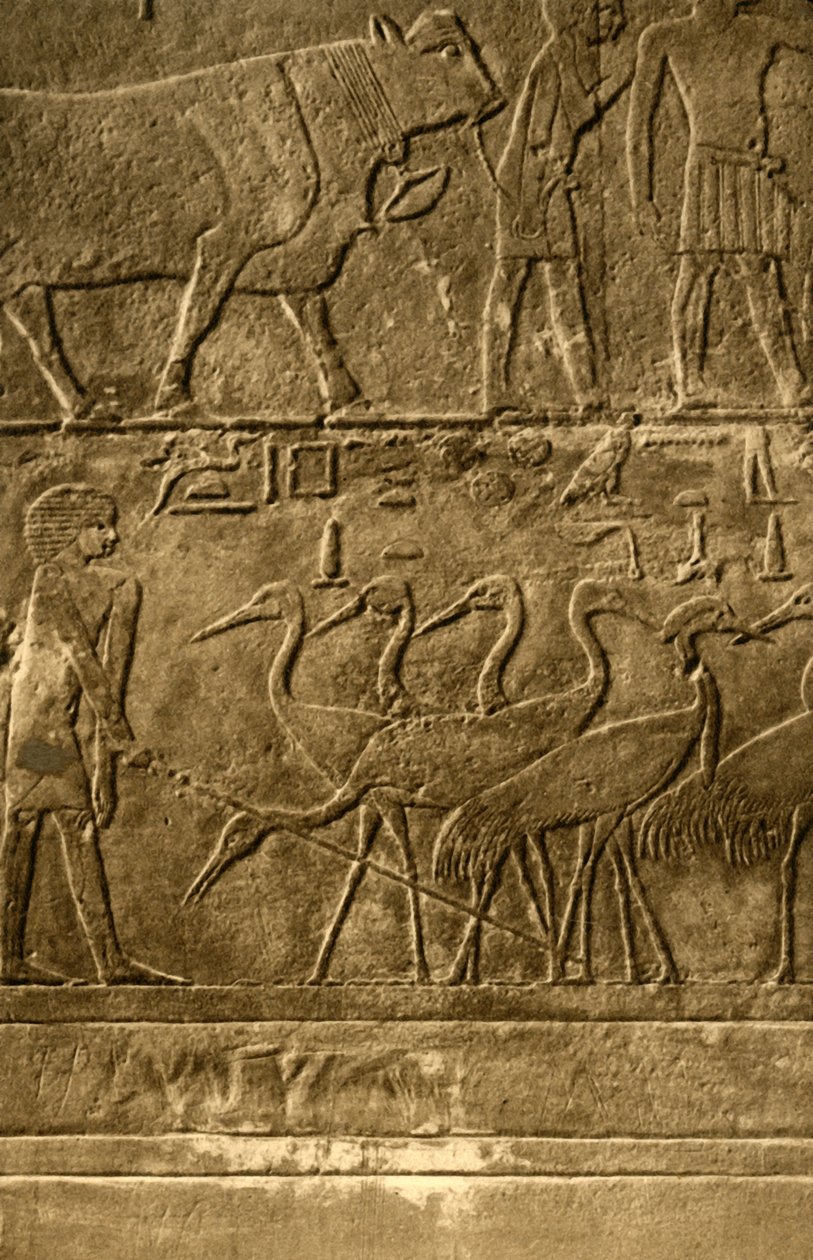 Saqqara - Ti-seinämaalausten hauta, c1918-c1939. tekijältä Unbekannt