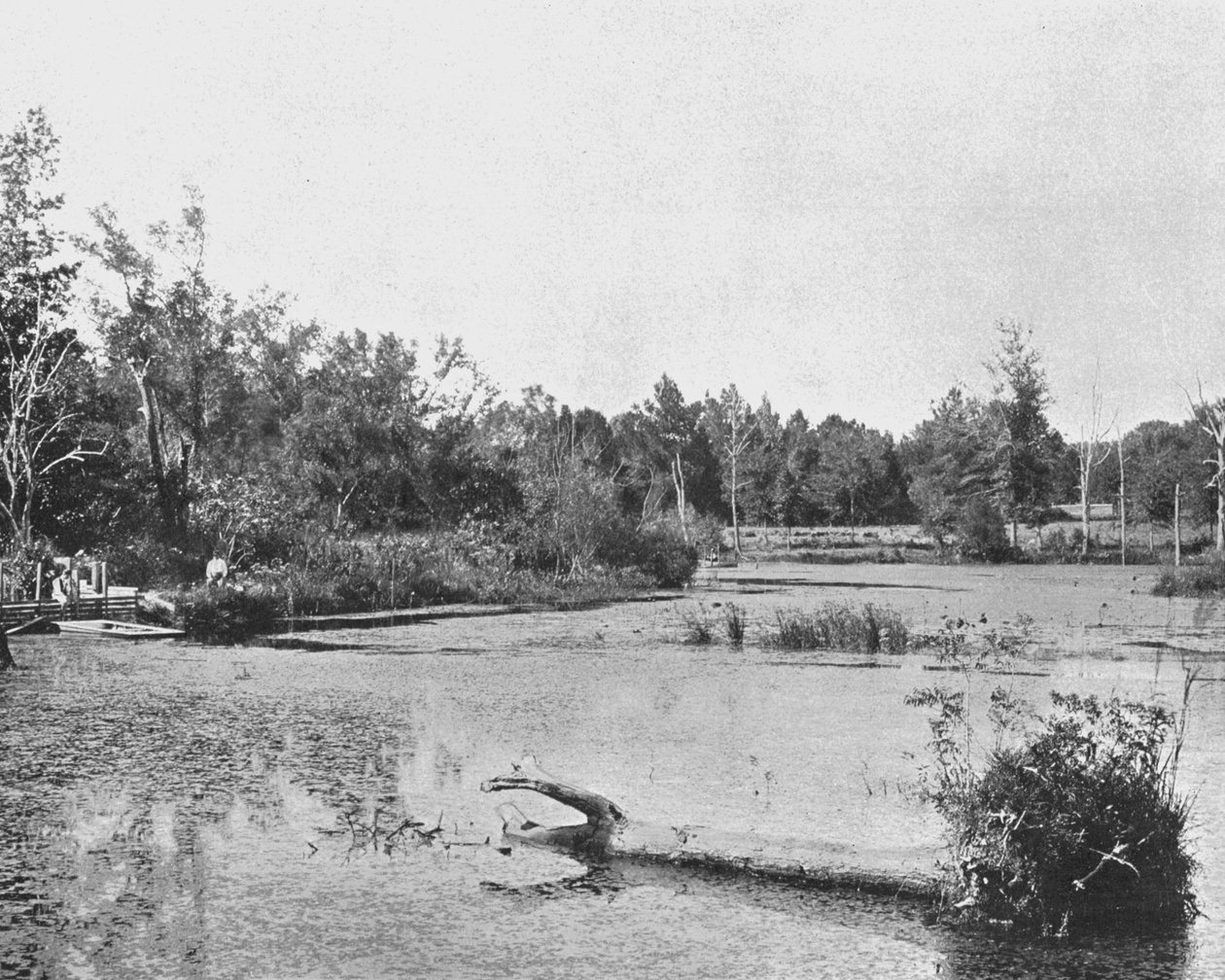 Kohtaus Mississippissä, Yhdysvalloissa, 1900. tekijältä Unbekannt