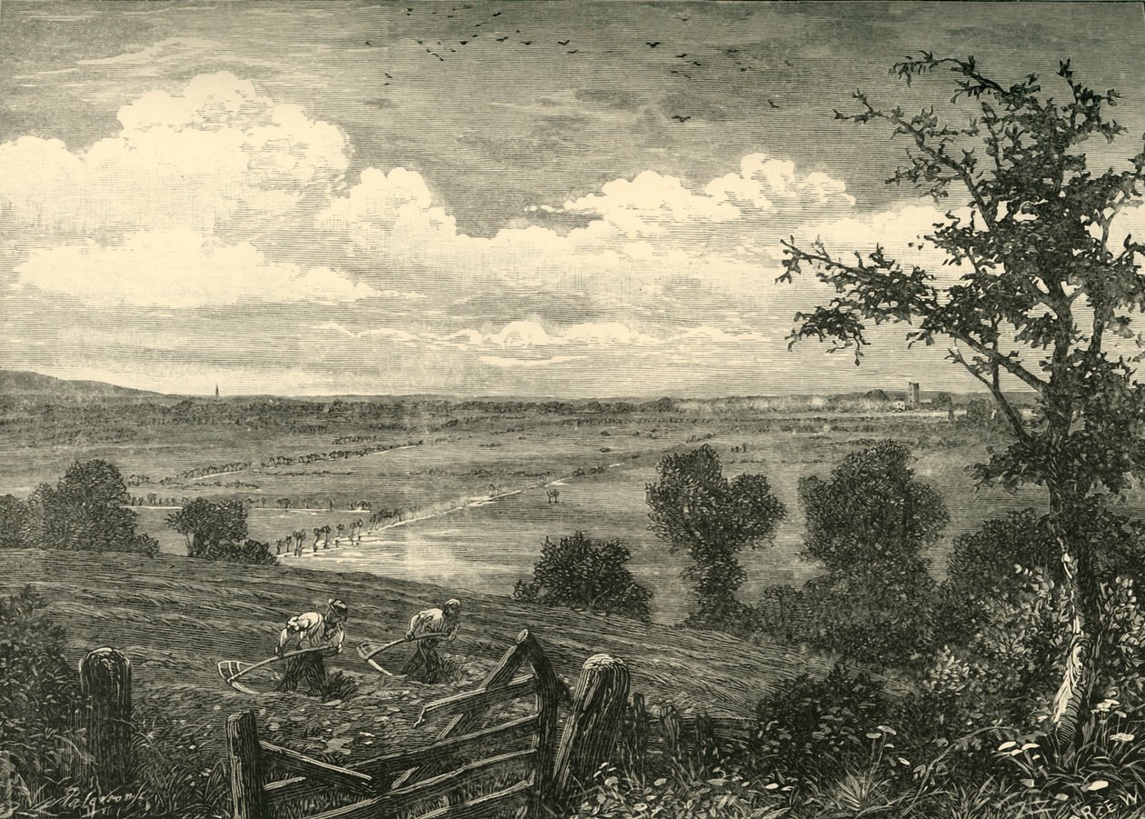 Sedgemoor, Middlezoysta, 1898. tekijältä Unbekannt