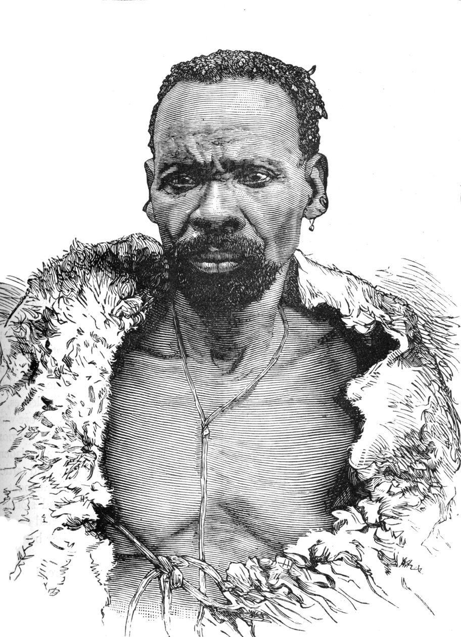 Puu, c1880 tekijältä Unbekannt