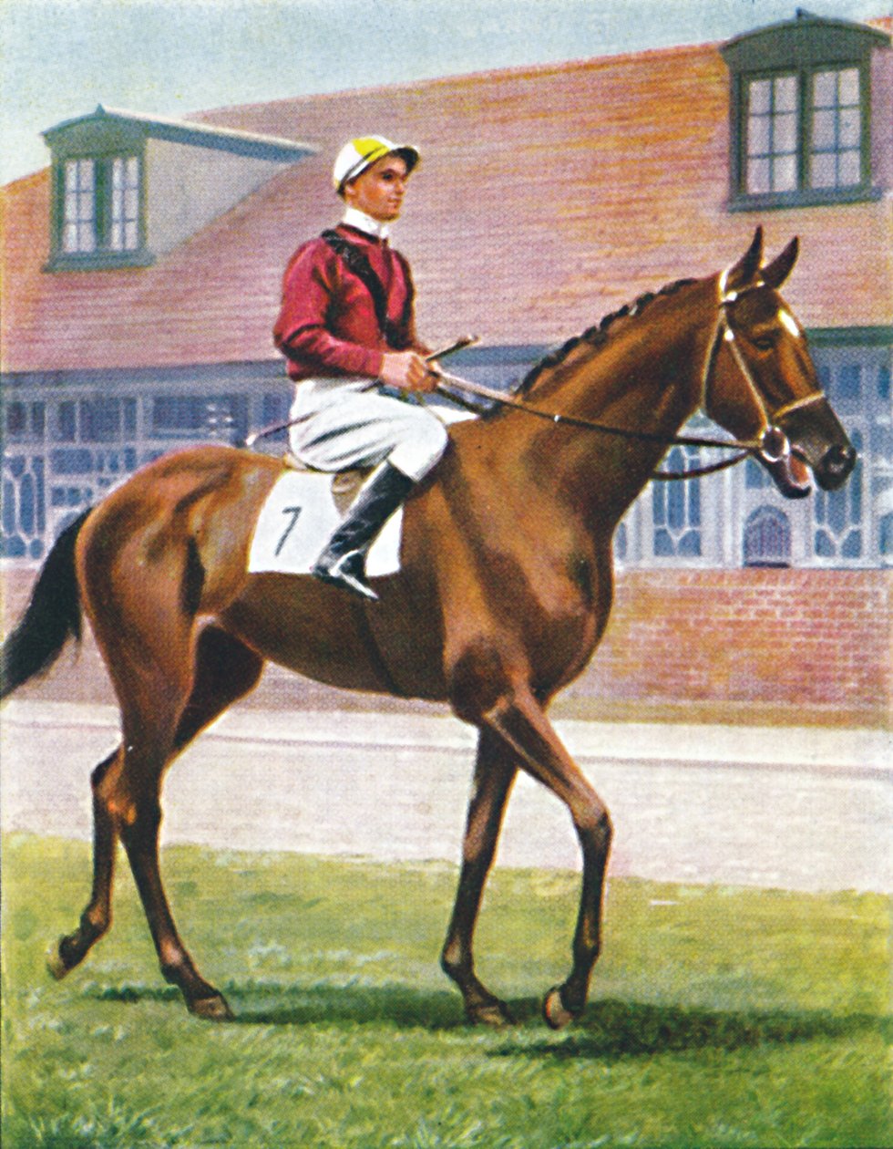 Senor, Jockey: J. Crouch, 1939 tekijältä Unbekannt