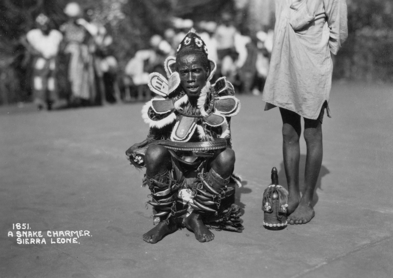 Käärmeen hurmaaja, Sierra Leone, 1900-luku tekijältä Unbekannt