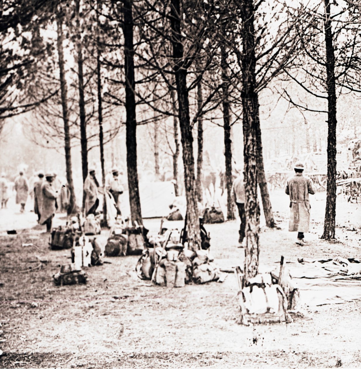 Sotilaita ja laumia metsässä, c1914-c1918 tekijältä Unbekannt