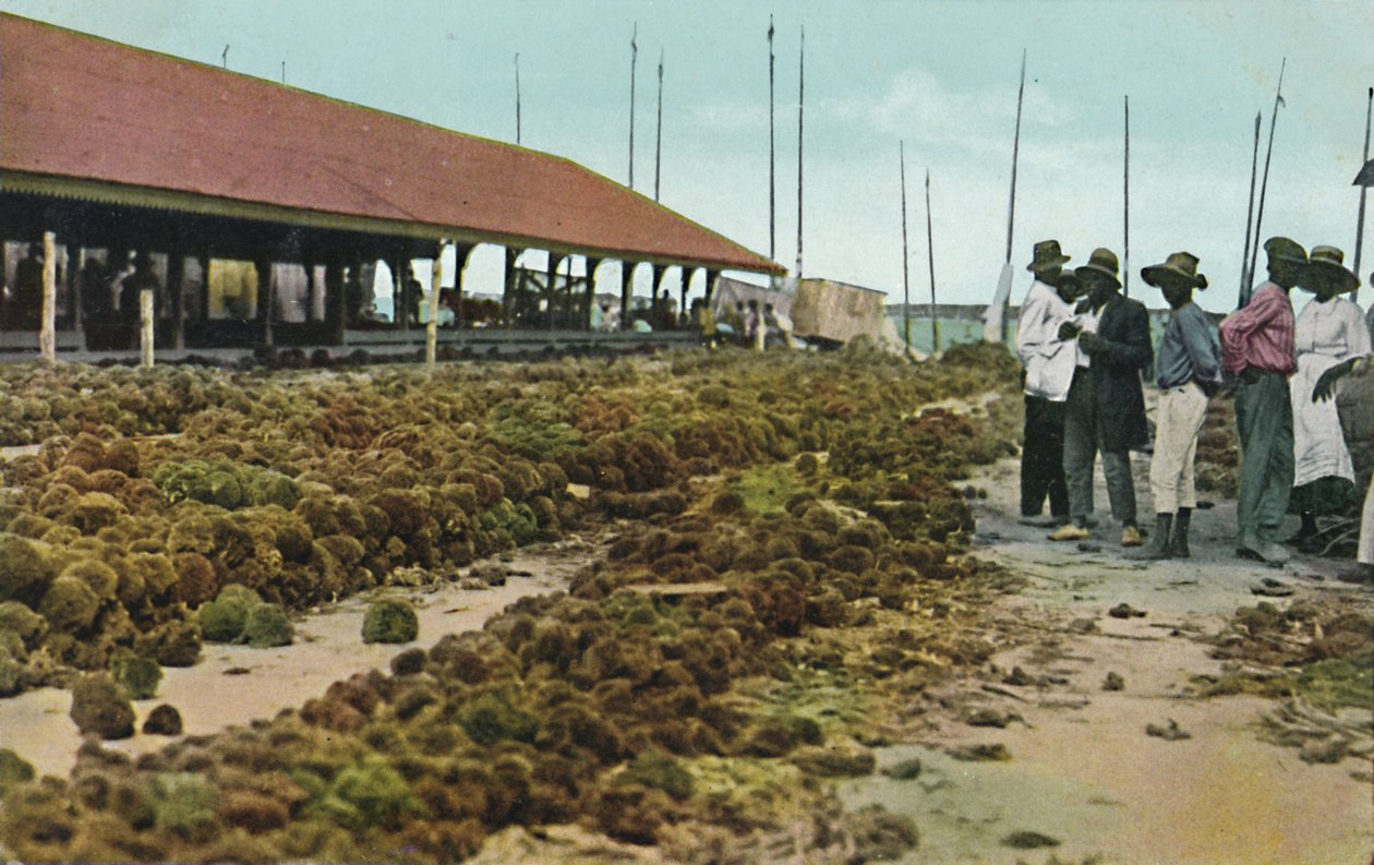 Sponge Market, Nassau, Bahama, 1930-luku. tekijältä Unbekannt