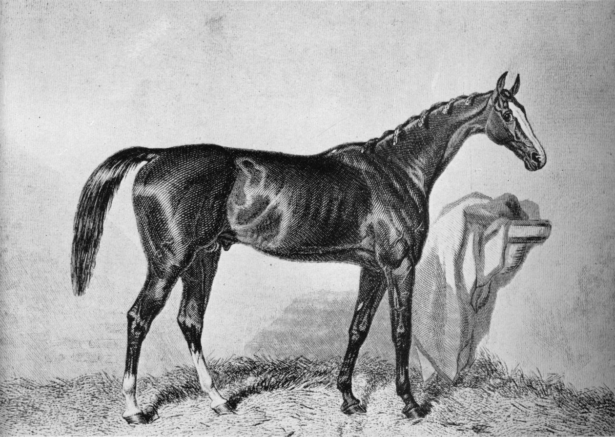 St. Albans, 1800-luku, 1911 tekijältä Unbekannt