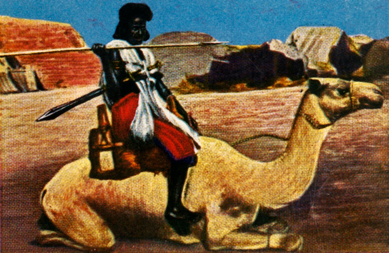 Sudanilainen soturi ratsastaa kamelilla, vuodelta 1928. tekijältä Unbekannt