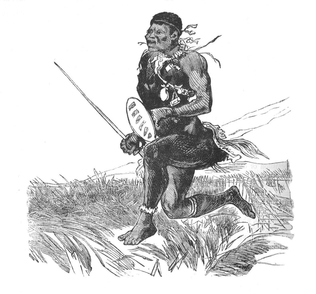 Swazi Scout, 1880 tekijältä Unbekannt