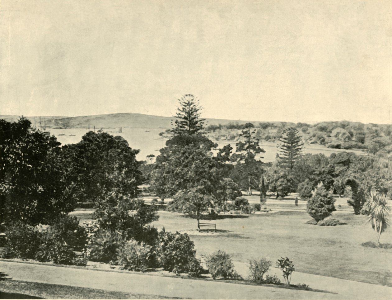 Sydneyn kasvitieteellinen puutarha, 1901. tekijältä Unbekannt