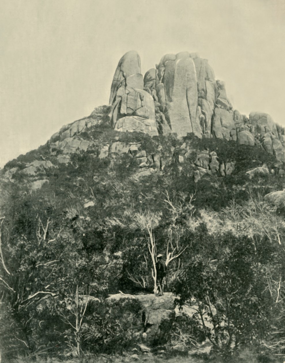 The Hump, Buffalo Mountains, 1901. tekijältä Unbekannt