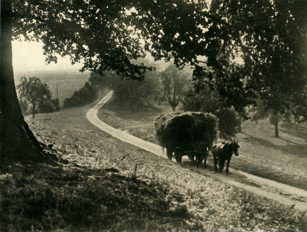 Viimeinen kuorma, 1936. tekijältä Unbekannt