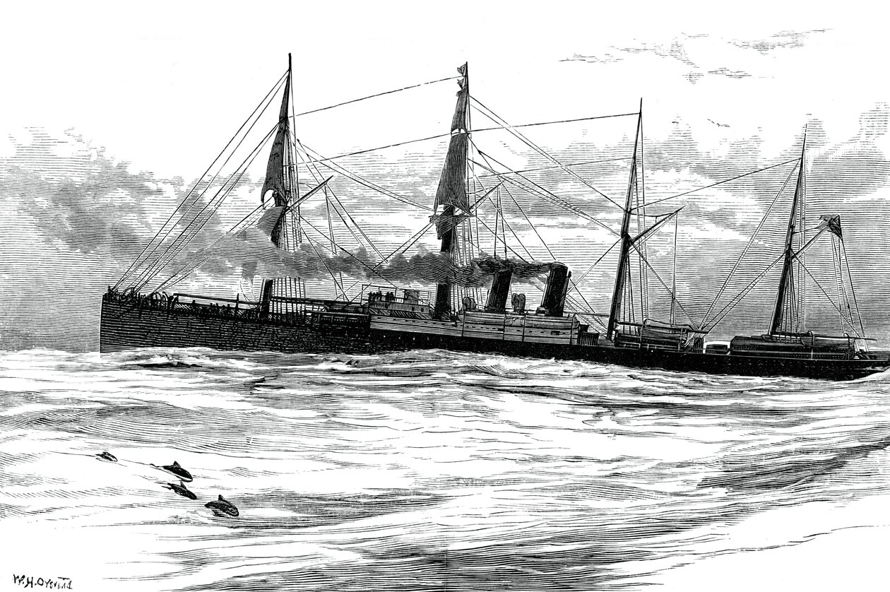 Orient Steam Navigation Companyn höyrylaiva Orient, c1880 tekijältä Unbekannt