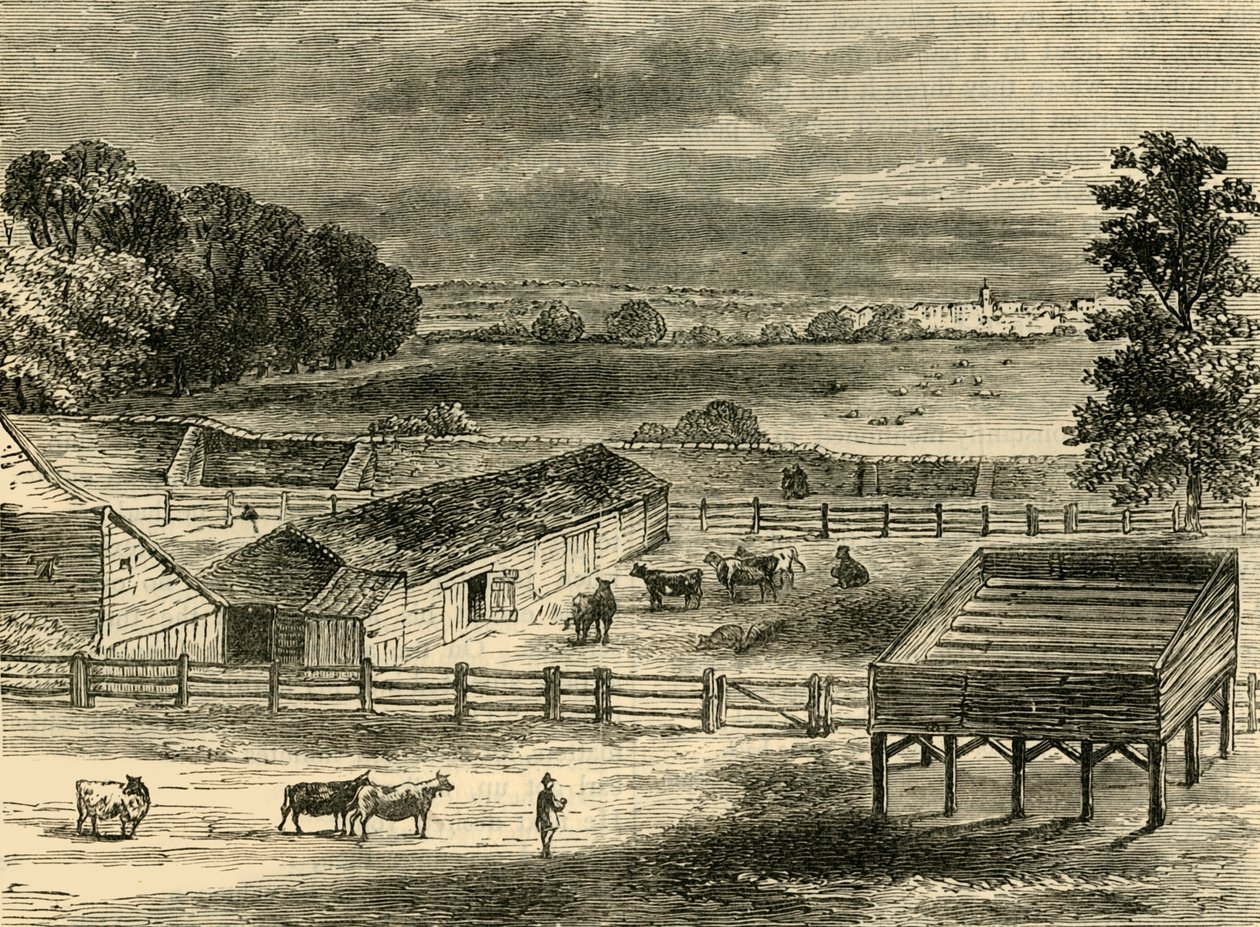 Teloituspaikka, Tyburn, vuonna 1790, n. 1876. tekijältä Unbekannt