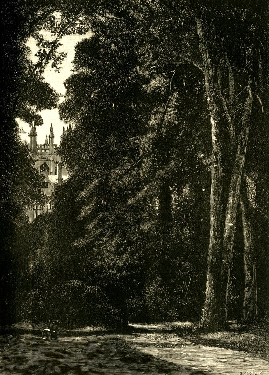 Mertonin torni puutarhasta, 1898. tekijältä Unbekannt