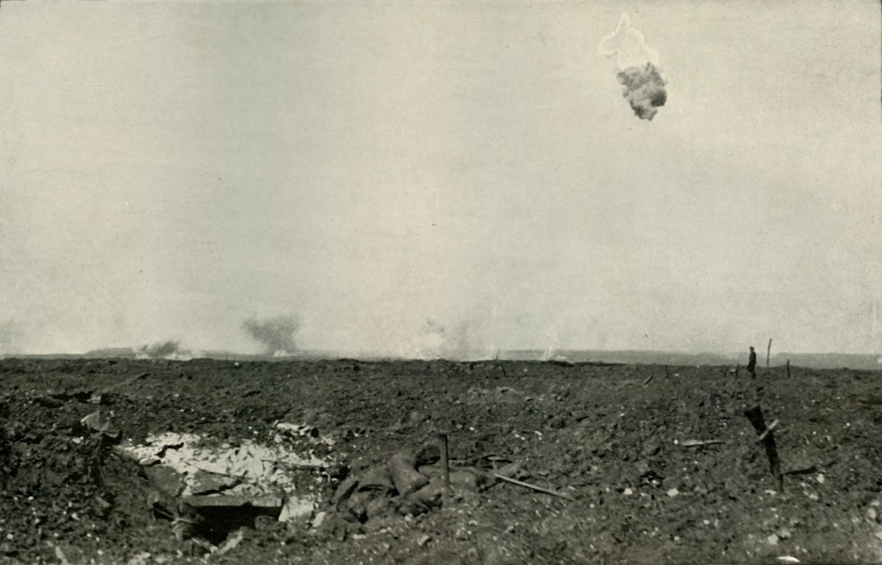 Villakarhu, 1919. tekijältä Unbekannt