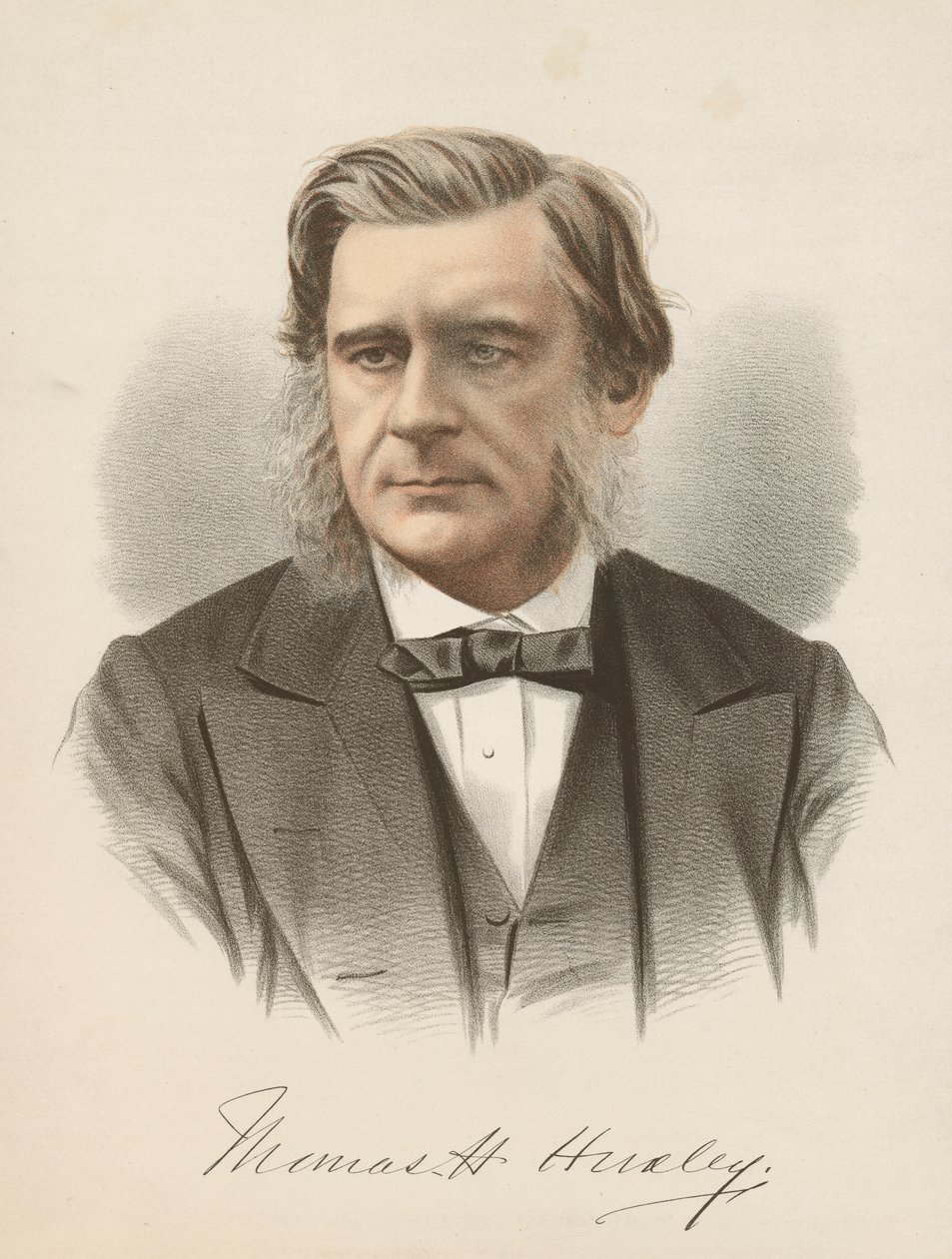 Thomas Henry Huxley, englantilainen biologi, 1880 tekijältä Unbekannt