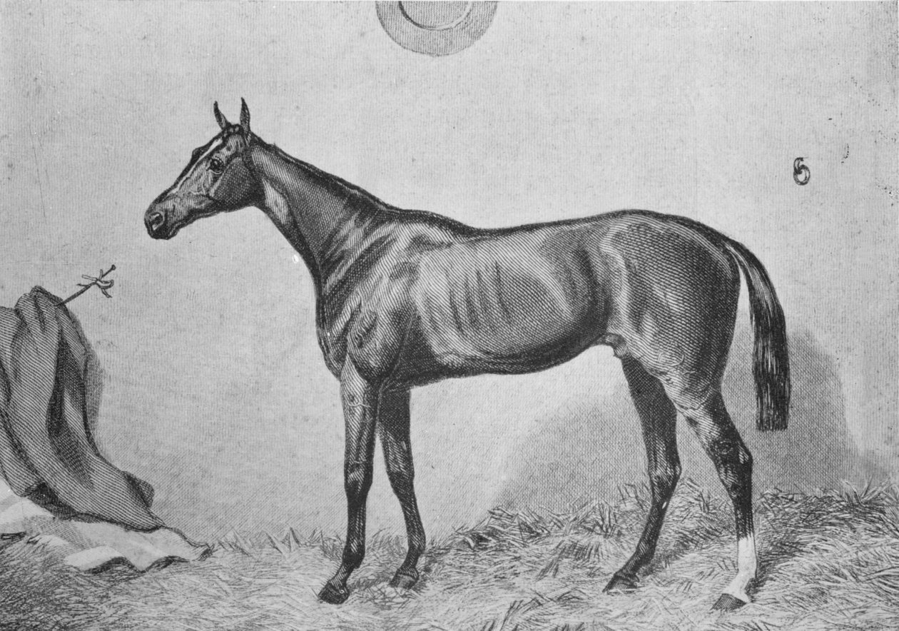 Thormanby, 1860, 1911 tekijältä Unbekannt