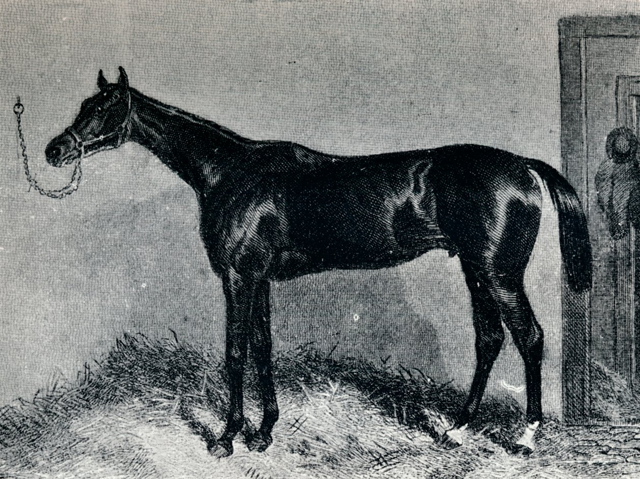 Tim Whiffler, 1860-luku, 1911 tekijältä Unbekannt