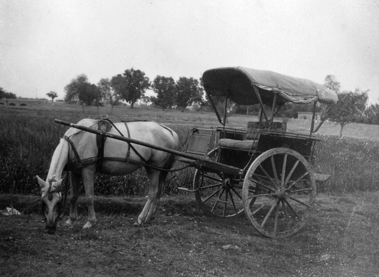 Tongan hevoskärryt, Muttra, Intia, 1917 tekijältä Unbekannt