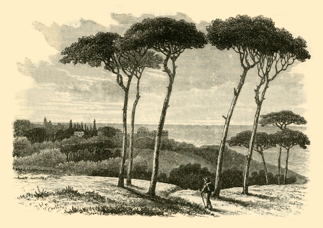 Tusculum, 1890. tekijältä Unbekannt