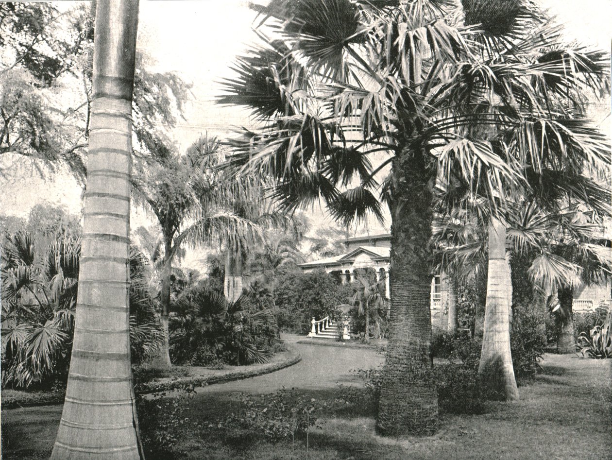 Tyypillinen havaijilainen piha, Honolulu, USA, 1895. tekijältä Unbekannt