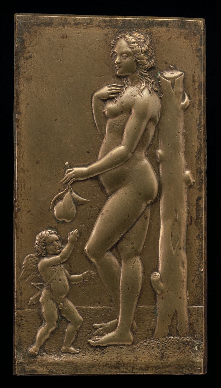Venus ja Cupid, 1500-luvun puoliväli. tekijältä Unbekannt