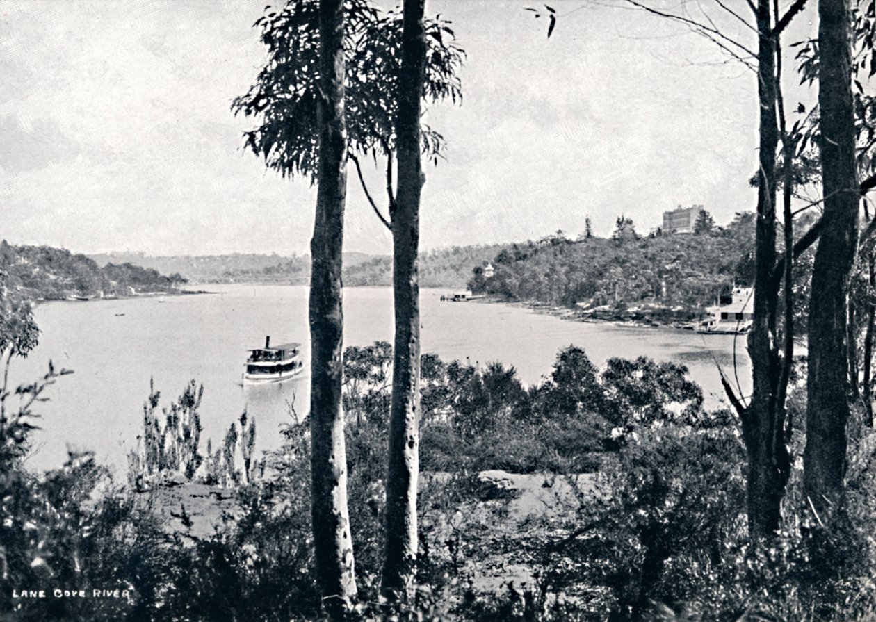 Näkymä Lane Cove -joelle, c1900. tekijältä Unbekannt