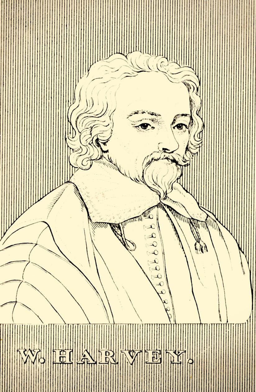 W. Harvey, 1578-1657, 1830. tekijältä Unbekannt