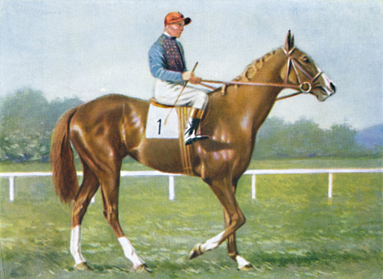 Waterbird, Jockey: E. Smith, 1939 tekijältä Unbekannt