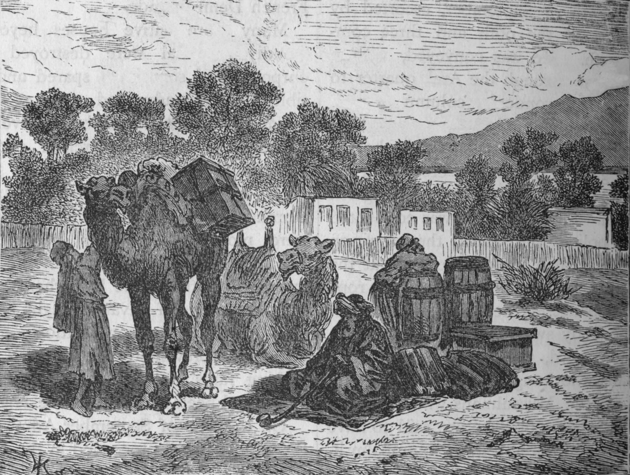 Mooseksen kaivot, Suezin lähellä, vuodelta 1882 tekijältä Unbekannt