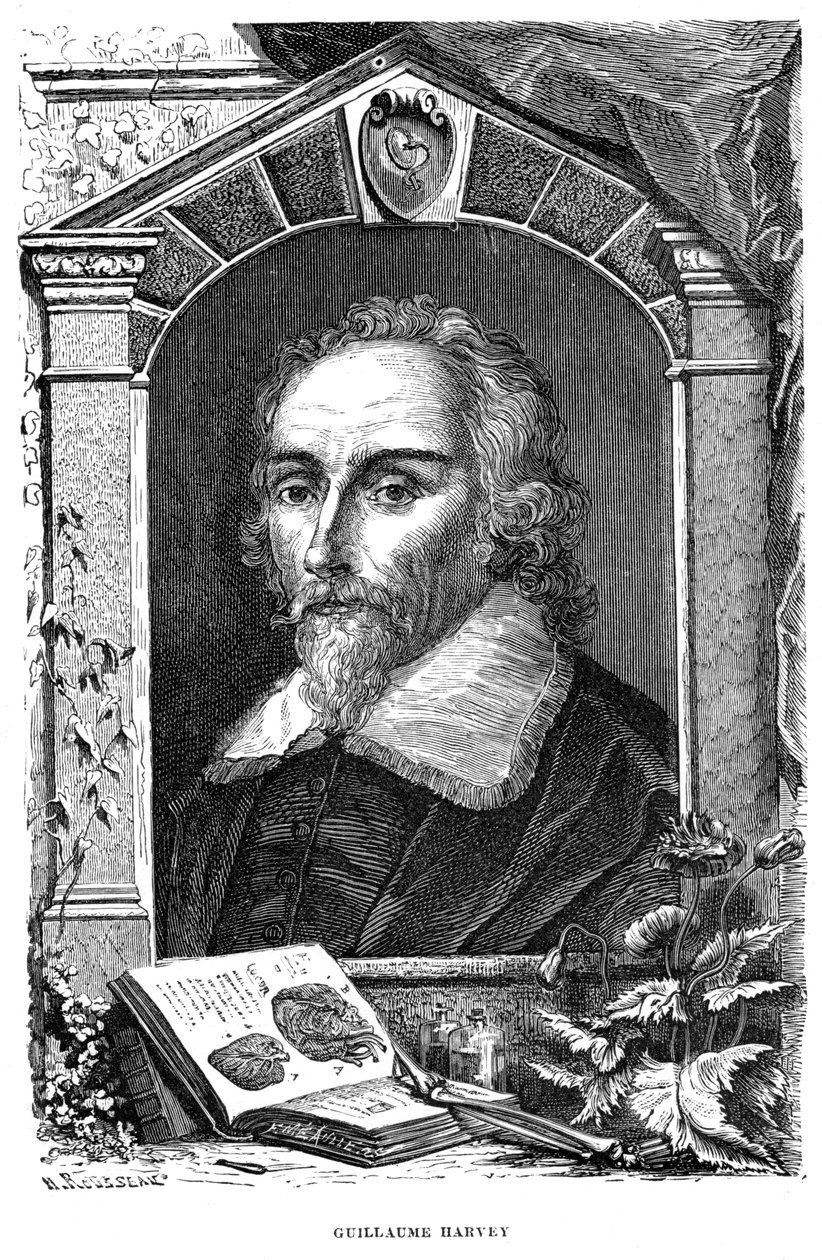 William Harvey 1578-1657 englantilainen lääkäri, 1600-luku tekijältä Unbekannt