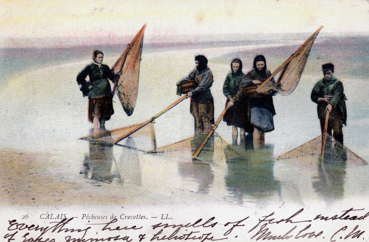 Naiset katkarapujen kalastajat, Calais, 1905 tekijältä Unbekannt