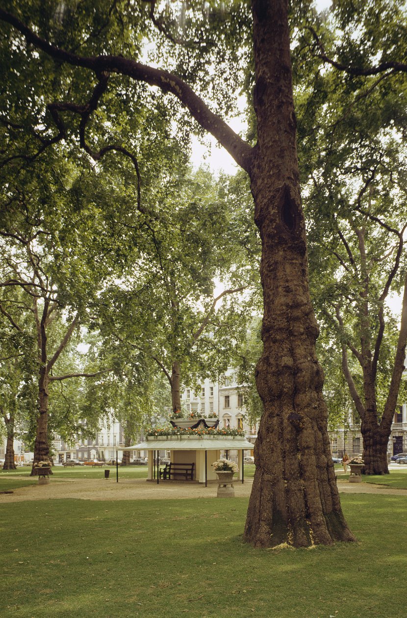 Berkeley Square, Lontoo W1 tekijältä Unbekannt Unbekannt